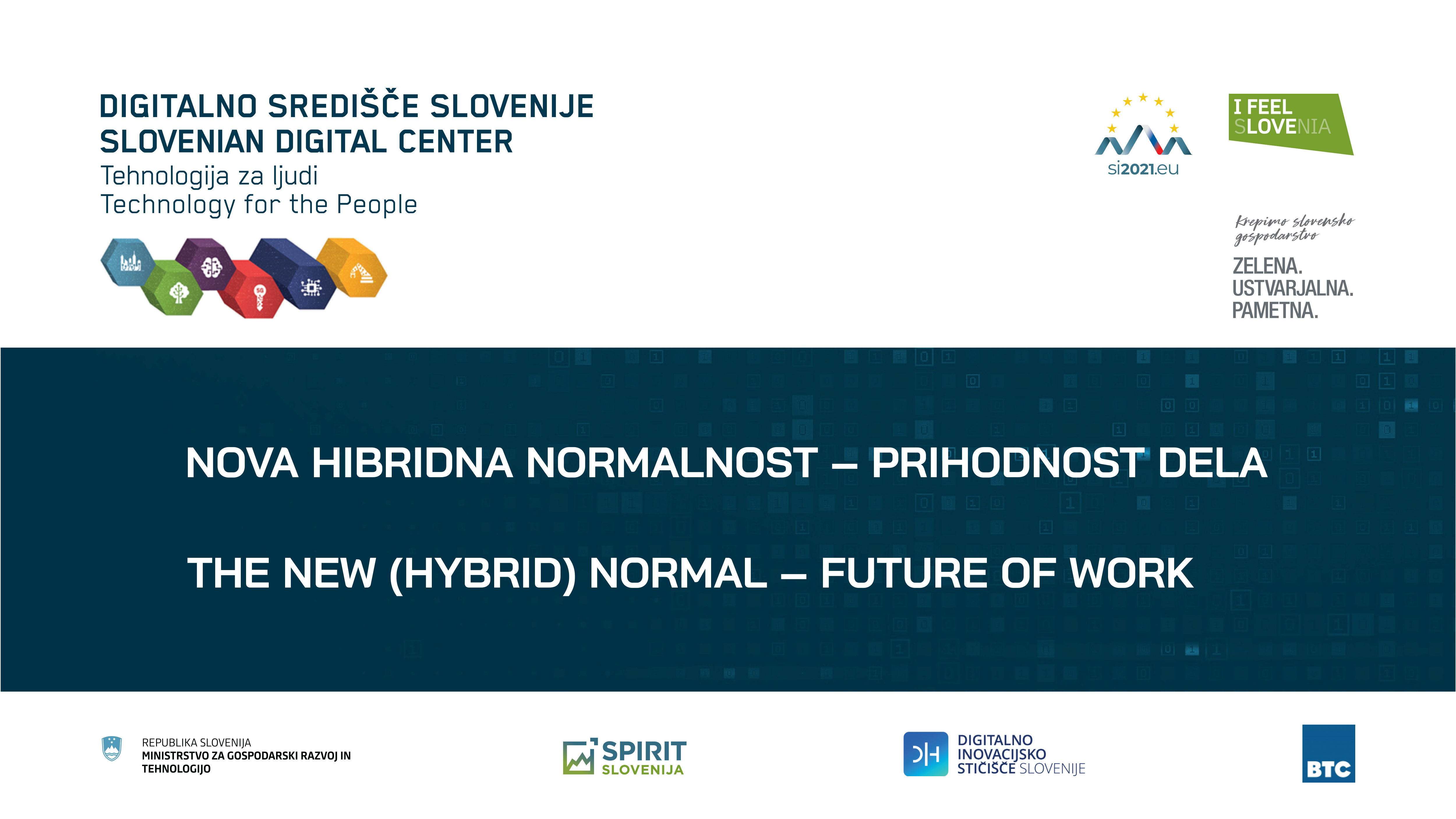 12 Spletna Stran Hibridna Normalnost
